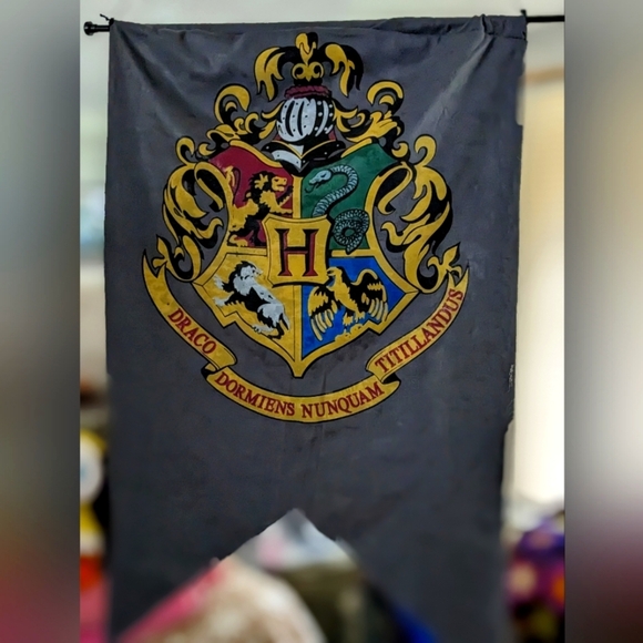 Harry Potter dorm swag. Draco(LAST CHANCE) - Picture 1 of 3